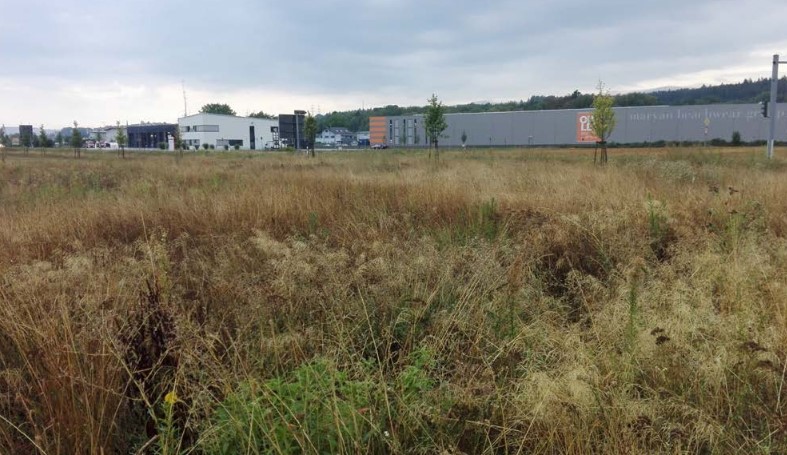 Gewerbegebiet, Industriegebiet: Gewerbegebiet Rütte-West (Commercial industrial area)